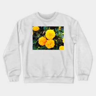 Marigold Study Crewneck Sweatshirt